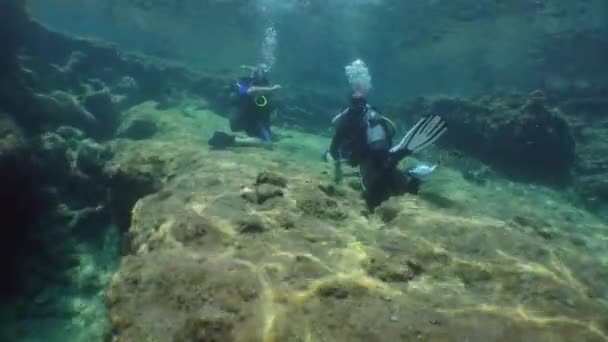 잠수 훈련: 바닥에 있는 실용적 인 운동. — 비디오