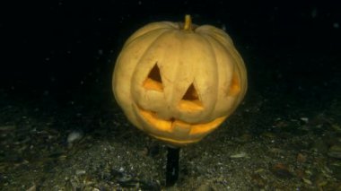 Cadılar Bayramı su altında: Cadılar Bayramı geceleri deniz tabanında parlayan balkabağı.