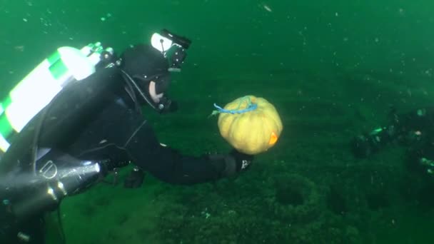 Halloween Underwater: un subacqueo con una zucca incandescente di Halloween. — Video Stock