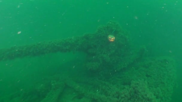 Halloween onderwater: Halloween gloeiende pompoen op het kanon van een wrak. — Stockvideo