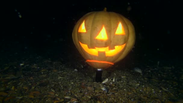 Halloween underwater: Halloween glowing pumpkin on the seabed at night. — Stock Video