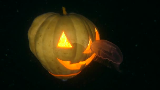 Halloween Underwater: jellyfish and Halloween Glowing Pumpkin. — Stock Video