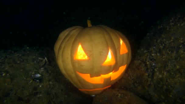 Halloween pod vodou: Krab a halloween zářící dýně. — Stock video