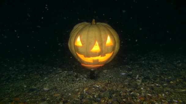 Halloween Underwater: Fish and Halloween Glowing Pumpkin. — Stock Video