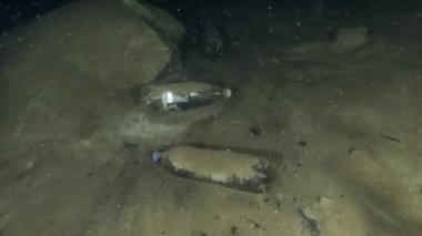 Işığın nüfuz etmediği derinliklerde plastik atıklar da tespit edilebilir..