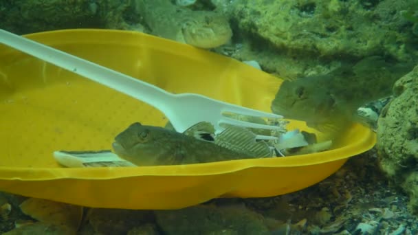 海洋的塑料污染：海底塑料废物中的小白鱼. — 图库视频影像
