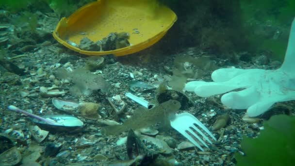 Pollution plastique : les poissons de Gobie parmi les déchets plastiques sur les fonds marins. — Video