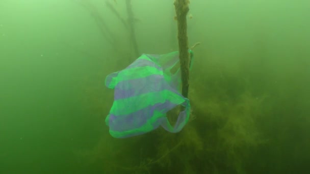 Inquinamento di plastica: un sacchetto di plastica su un ramo di un albero allagato. — Video Stock