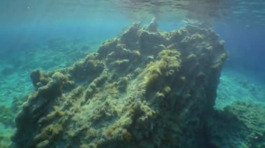 Kamera sığ suların üzerindeki güneşin eğimli ışınlarında hareket eder..