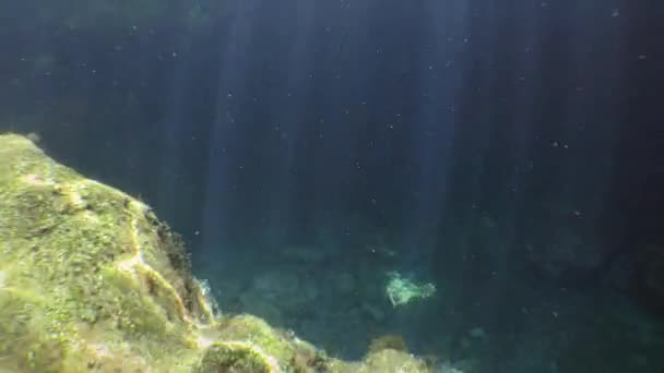 Kamera prochází clonou slunečního světla do temného podmořského kamenného tunelu. — Stock video