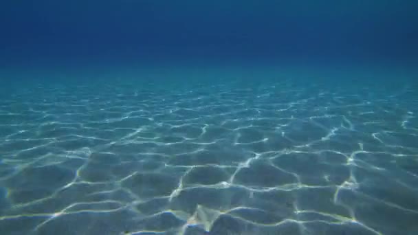 Een spelletje zonnige schittering op een zandbodem. — Stockvideo