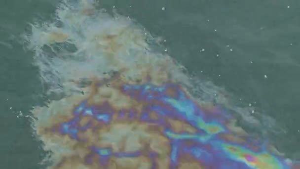 Contaminación del mar: manchas de petróleo en la superficie turbulenta del mar. — Vídeo de stock