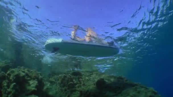 Due persone su una tavola SUP nuotano lungo le pittoresche scogliere costiere, vista dal basso. — Video Stock