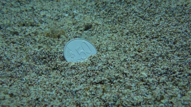 定做的游客：把一枚硬币丢进海里，然后回到这个地方. — 图库视频影像