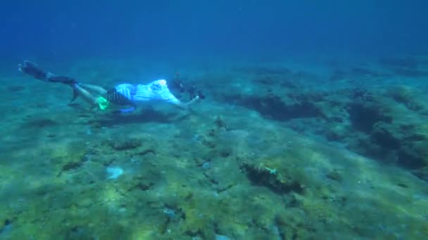 Un apneista con una macchina fotografica galleggia lentamente sopra un fondo roccioso filmando una scuola di pesci. — Video Stock