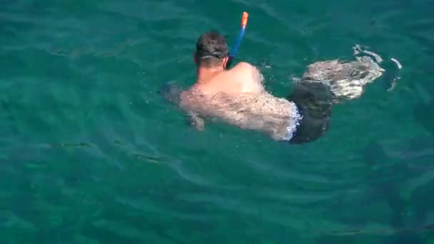 Schnorcheln: Junger Mann mit Unterwassermaske sucht Gefahr unter Wasser. — Stockvideo