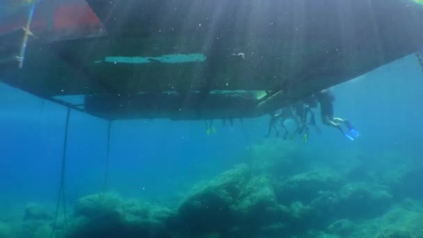 Formation à la plongée : un groupe d'étudiants plongeurs au bord de la plate-forme flottante, vue du bas. — Video