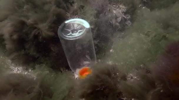 Plastic vervuiling: een PVC fles zwaait in de golven op de zeebodem. — Stockvideo