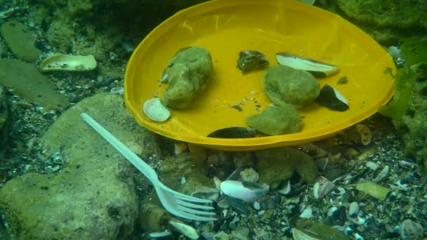 Okyanusun plastik kirliliği: Deniz tabanındaki plastik atıklar arasında goby balığı. — Stok video