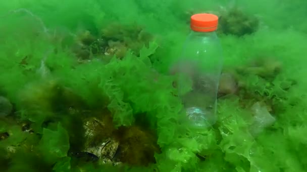 Contaminación plástica del océano: una botella de PVC se balancea en las olas del fondo marino. — Vídeos de Stock