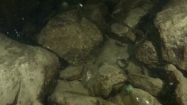 Işığın nüfuz etmediği derinliklerde plastik atıklar da tespit edilebilir..