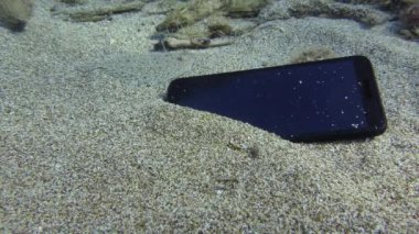 Geniş gözlü pisi balığı, deniz tabanında kayıp bir akıllı telefonu inceliyor..
