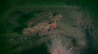 Sualtı arkeolojisi: bir yelkenlinin tahta bloğu.