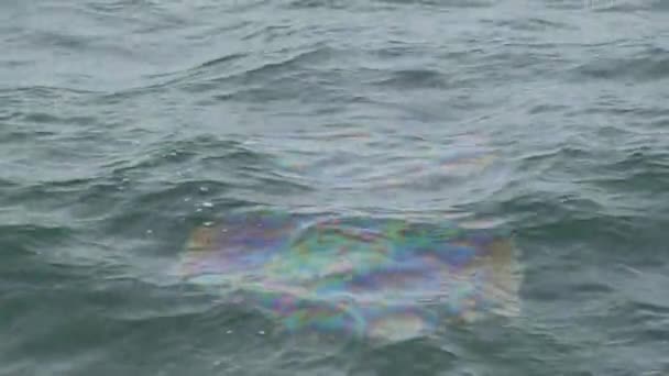 Daño al oleoducto: las manchas de petróleo se elevan desde las profundidades. — Vídeo de stock
