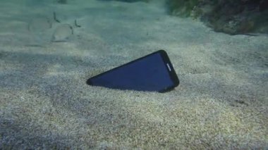 Arka planda Huawei kumlu zemininde, deniz çipurası balığı kaybolmuş..