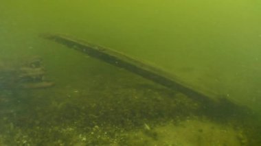 Dinyeper Nehri 'ndeki Kazakların antik ahşap gemisi hakkında arkeolojik araştırma..