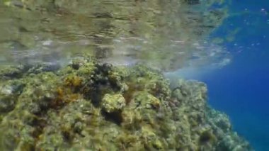 Sualtı kayalıklarının yanındaki gelgit dalgası, alt manzara..
