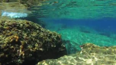 Güneş ışığının ışınlarında kayalık sualtı manzarası.