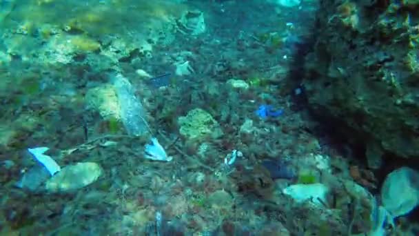 Plastica in mare: un sacco di bottiglie di plastica, borse e altri rifiuti sul fondo marino vicino alla spiaggia della città. — Video Stock