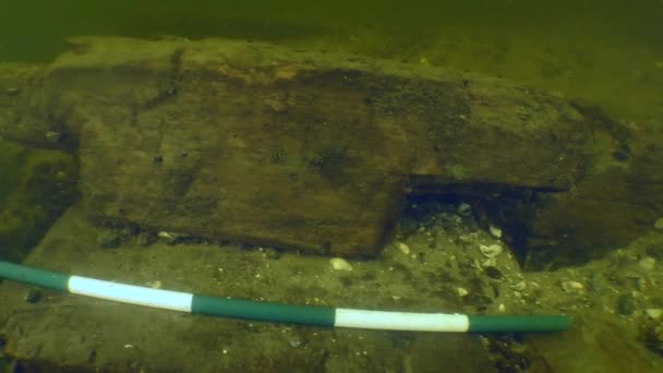 Investigación arqueológica de la antigua nave de madera de los cosacos en el río Dniéper. — Vídeos de Stock