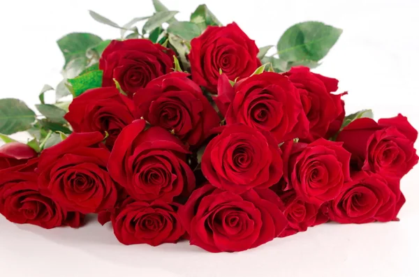 Bouquet of red roses Royalty Free Stock Photos