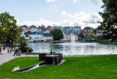 Stavanger, Norveç, 6 Haziran 2025. Stavanger şehir merkezinde ağaçların ve renkli evlerin yansımasıyla huzurlu bir göl.. 