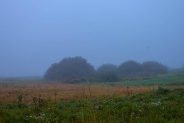Kırsal bir manzaranın geniş bir görüntüsü, ufukta bir alanı ve çalıları çevreleyen yoğun sisi resmediyor. Mavi, yeşil ve kahverengi tonların soluk paleti, sabah veya akşam geç saatlerde gizemli ve dingin bir atmosfer yaratır..
