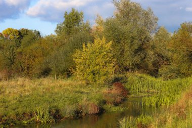 A landscape shot shows a small river or stream flowing through a wild, overgrown meadow, surrounded by mixed vegetation with signs of autumn coloring.