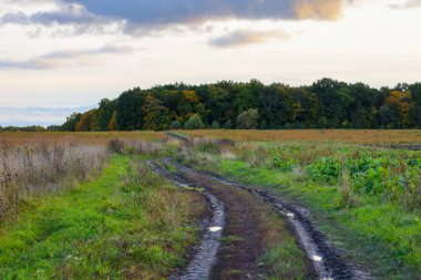 A rural dirt road with tire tracks winds through autumnal fields, leading towards a dense treeline colored with green and yellow hues. A cloudy sky with white and grey clouds provides soft, diffused lighting.