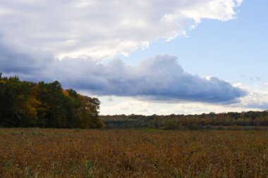 Uçsuz bucaksız bir sonbahar manzarası ön planda kuru, kahverengi bir tarla ve ufukta ağaçlar var. Gökyüzü ağır, dramatik bulutlarla doludur, yeryüzü ve gökyüzü arasında bir kontrast oluşturur..