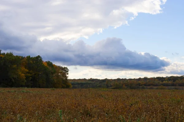 Uçsuz bucaksız bir sonbahar manzarası ön planda kuru, kahverengi bir tarla ve ufukta ağaçlar var. Gökyüzü ağır, dramatik bulutlarla doludur, yeryüzü ve gökyüzü arasında bir kontrast oluşturur..