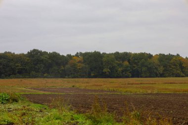 Toprak ve sakal parçalarıyla geniş tarım alanları kasvetli gri gökyüzünün altında uzanıyor. Arka planda sık ve kalın bir orman çizgisi koyu yeşilden altın rengine geçiş renklerini gösteriyor..