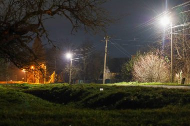 Karanlık gökyüzü ile sokak lambalarının parlak ışık halkaları arasında katıksız bir zıtlık barındıran gece ve uzun süreli bir kırsal alan..