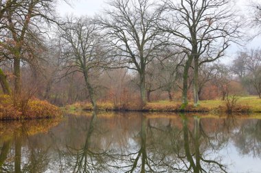 Bu manzara, gölün ya da gölün sakin, ayna benzeri yüzeyini gösteriyor. Uzun ağaçların gövdelerini ve kıyıdaki sonbahar bitkilerini mükemmel bir şekilde yansıtıyor..