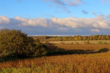 Sonbahar gökyüzünün altında geniş bir kırsal alan. Mavi arka planda büyük beyaz bulutlar var..
