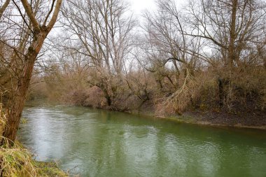 Çamurlu nehir suları, sık ağaçlar ve çalılarla çevrili nazik kıyılar boyunca aceleyle akar. Gri kış gökyüzü bu vahşi doğa ortamında melankolik bir hava yaratıyor..