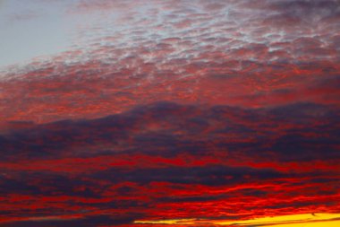 Doymuş bir günbatımının ya da canlı sirrus ve kümülüs bulutlarıyla dolu gündoğumu gökyüzünün yakın çekimi. Göksel tuval çeşitli tonlarda kırmızı, turuncu, mor ve gri renklerle boyanarak dramatik ama olağanüstü güzellikte doğal bir renk yaratıyor..