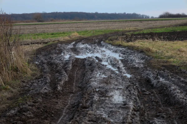 Kasvetli bir gökyüzünün altındaki sonbahar tarlasında yağmurdan sonra ıslanmış toprak bir yolda derin çamurlu izler..