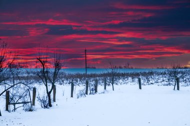 Sert bir kış boyunca kırsal bir alanda karla kaplı bir arazide parlak, kan kırmızısı bir günbatımı. Zengin kırmızı gökyüzü, karanlık ağaç siluetleri ve beyaz kar örtüsünün zıt kombinasyonu dramatik ve pitoresk bir doğal manzara yaratır..