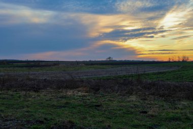 Akşam gökyüzünün altında batan güneşin yumuşak altın ışığıyla aydınlatılan geniş tarlaların yer aldığı resmedilmiş kırsal alan..